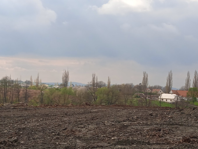Markovice pes vsypku